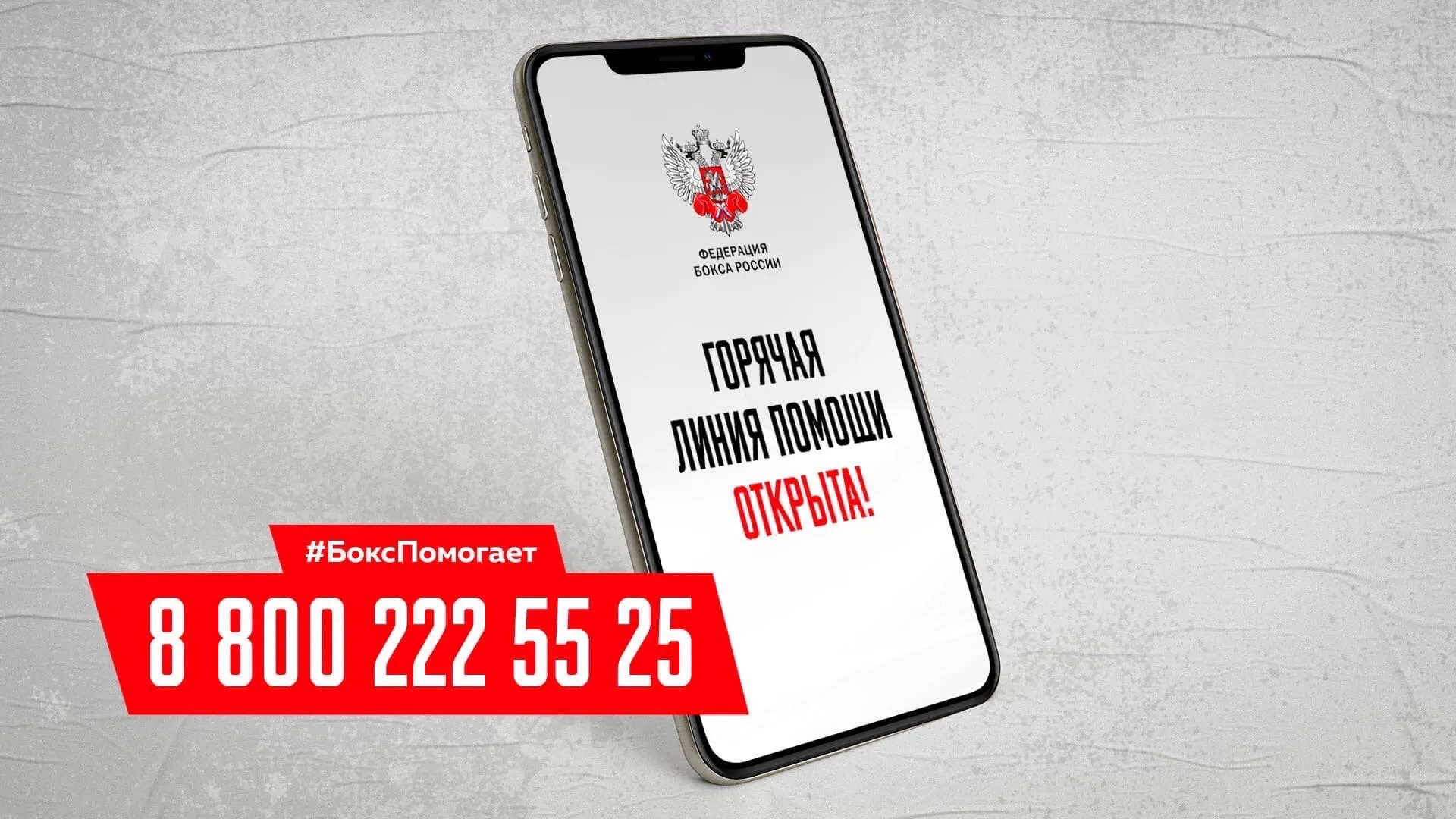Федерация бокса России запустила горячую линию в поддержку российского спорта