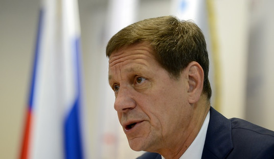 Alexander Zhukov: “In the near future we will forward the information of the Investigative Committee to Oswald/Schmid commissions”