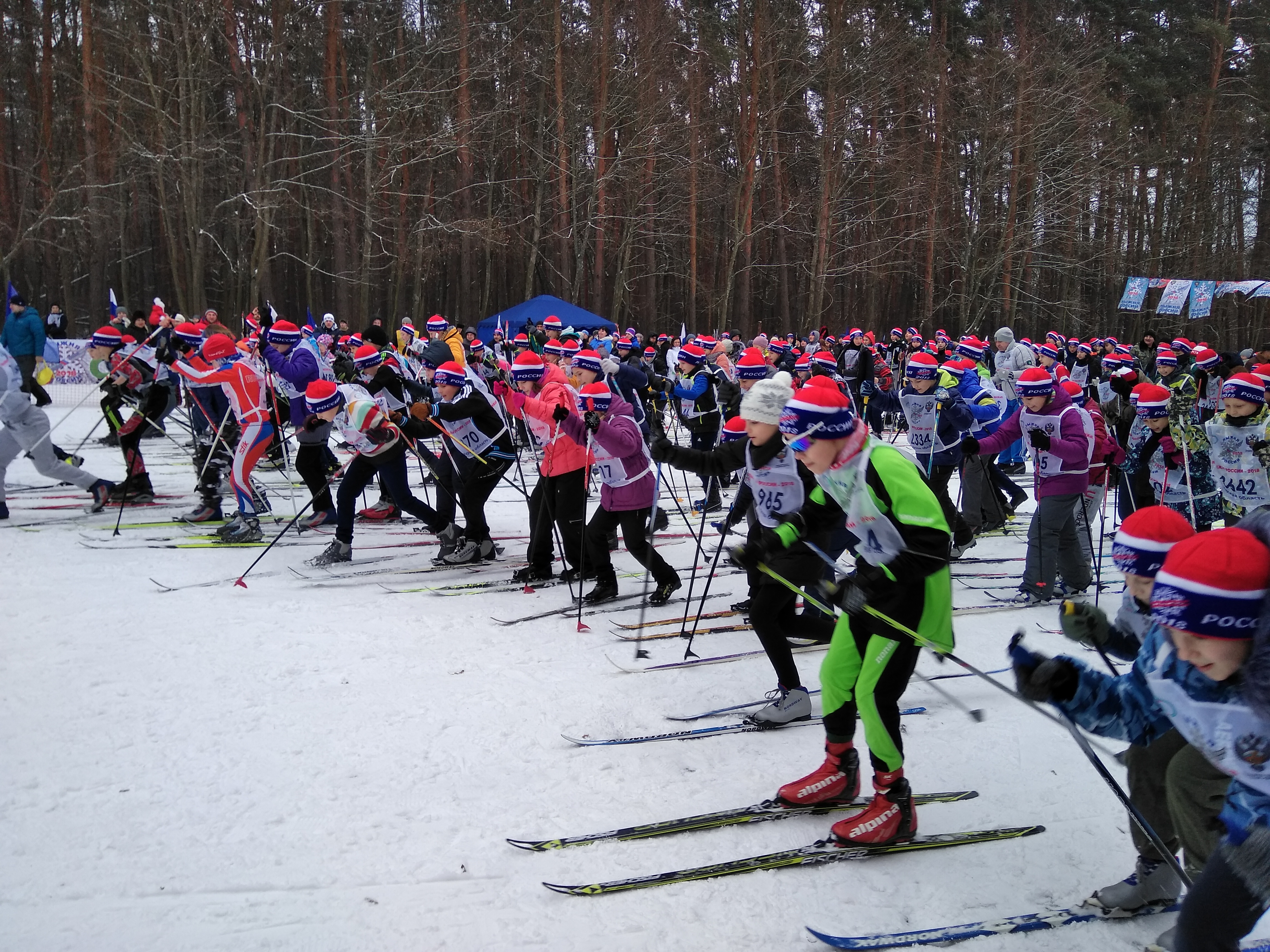 День зимних видов спорта в Курской области
