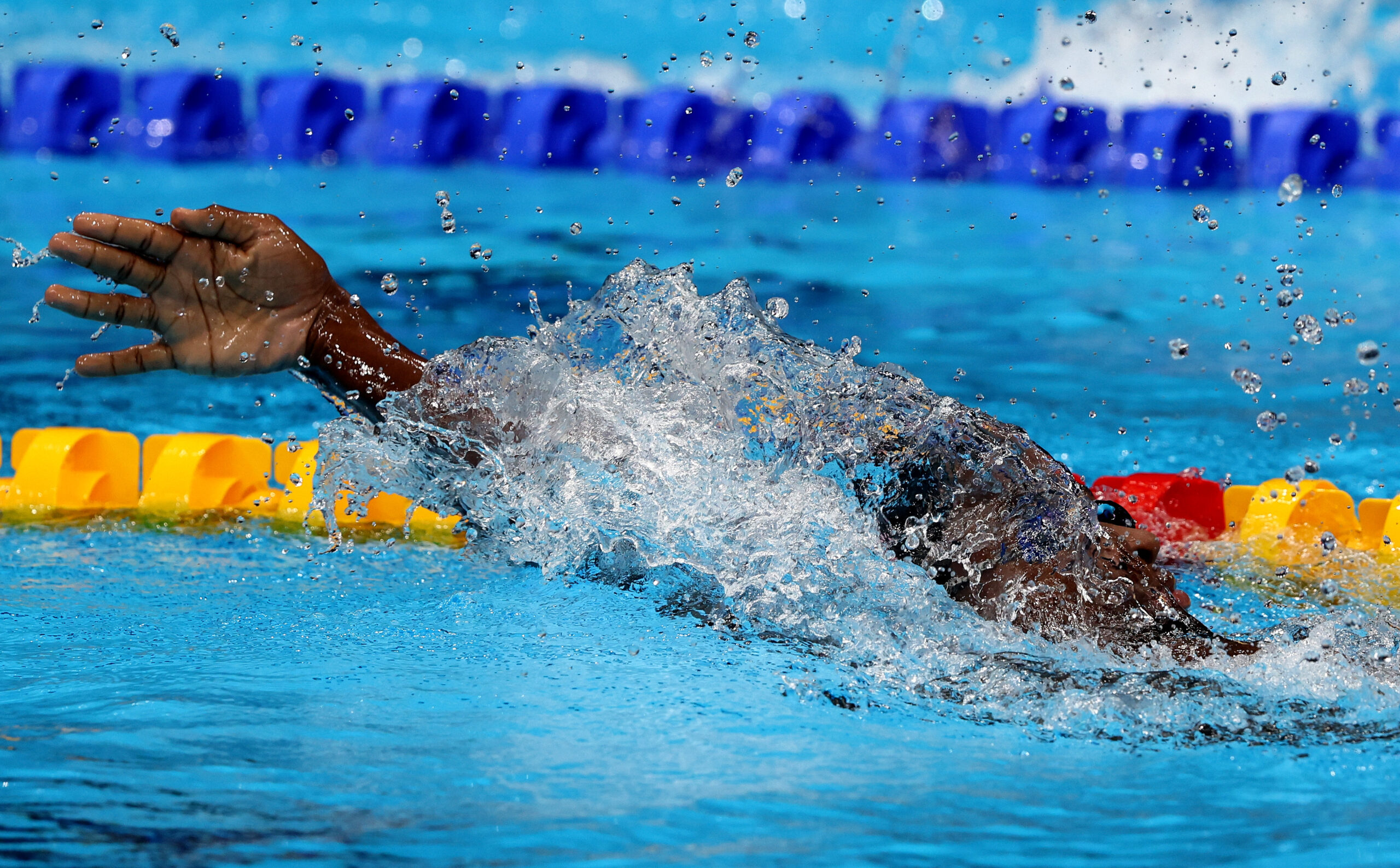 FINA подвела итоги антидопингового тестирования спортсменов